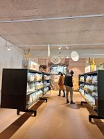 043 Silvester Berner Oberland - Ausflug ins Emmental - Besuch der Erlebniswelt Kambly - Leckeres Gebäck kann verkostet und gekauft werden