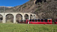 Bernina Express am Kreisviadukt in Brusio