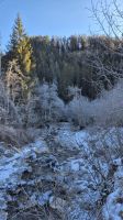 Winterlandschaft bei Filisur