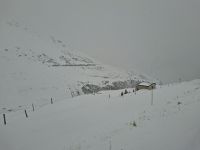 Fahrt mit dem Glacier-Express von Andermatt nach Disentis...