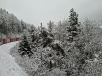 Fahrt mit dem Bernina-Express durch das Albulatal...