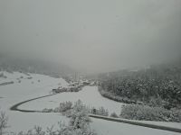 Fahrt mit dem Bernina-Express durch das Albulatal...