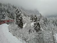 Fahrt mit dem Bernina-Express durch das Albulatal... 