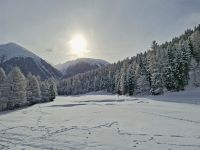 Fahrt mit dem Bernina-Express... (Oberengadin)