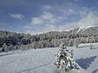 Fahrt mit dem Bernina-Express... (Oberengadin)