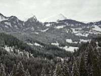 Fahrt mit der Arosa-Bahn von Chur nach Arosa...