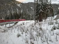 Fahrt mit der Arosa-Bahn von Arosa nach Chur... 