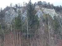 Bilder  von der Rheinschlucht