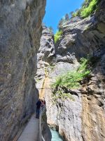 033 Aareschlucht &ndash; &copy; Annette Probst-Weise (Eberhardt TRAVEL)
