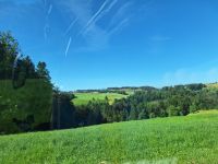 235 Heimreise - Fahrt über den Hirzel &ndash; &copy; Annette Probst-Weise (Eberhardt TRAVEL)