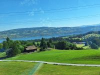 239 Heimreise - Fahrt über den Hirzel - Blick zum Zürichsee &ndash; &copy; Annette Probst-Weise (Eberhardt TRAVEL)