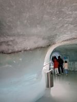 208 Ausflug auf das Jungfraujoch - im Eispalast - die Sägespäneschicht von 1946 kommt zum Vorschein &ndash; &copy; Annette Probst-Weise (Eberhardt TRAVEL)