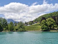 Schifffahrt auf dem Thunersee (Bucht von Spiez - Rebberge) &ndash; &copy; Katrin Deutschbein (Eberhardt TRAVEL)