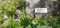 Führung durch das Alpinum &ndash; &copy; Kerstin Hugel (Eberhardt TRAVEL)