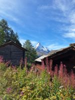 258 Wanderung von Blauherd nach Sunnegga - Pause in Tufftern