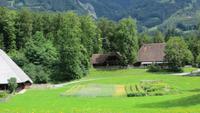 287  Freilichtmuseum Ballenberg