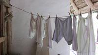 306  Freilichtmuseum Ballenberg -