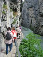 in der Aareschlucht
