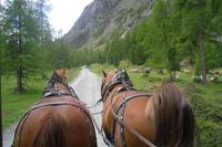 Kutschfahrt im Val Roseg