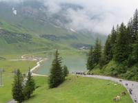 337 Trübsee 