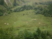 Ausblicke aus der Brienzer Rothornbahn