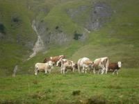 Ausblicke aus der Brienzer Rothornbahn