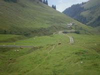 Ausblicke aus der Brienzer Rothornbahn