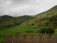 Ausblicke aus der Bahn...