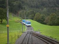 Goldau-Arth-Bahn (Rigi)