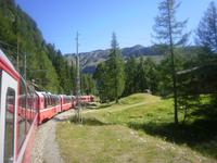 Fahrt mit dem Bernina-Express