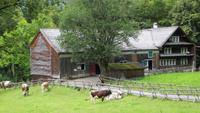 348  Freilichtmuseum Ballenberg -