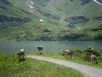unterwegs am Trübsee