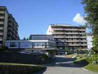 Sunstar Parkhotel in Davos