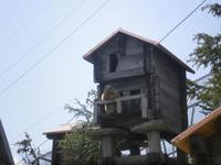Murmeltierpark Grimselpass