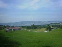 Blick auf den Zürichsee