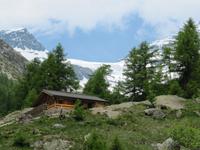 Lötschental - Falferalp- Blick zum Langgletscher