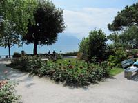 Montreux - Uferpromenade - Rosengarten