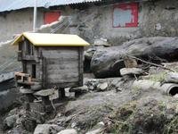 Am Grimselpaß Murmeltiere