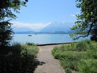 Blick auf den Thuner See