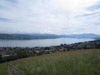 Blick auf den Zürichsee