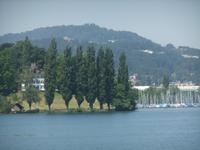 Luzern-Triebchen. Wagnerhaus