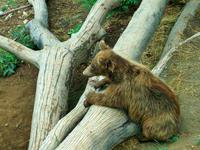 Bern &ndash; &copy; Steffen Mucke (Eberhardt TRAVEL)