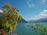 Montreux &ndash; &copy; Steffen Mucke (Eberhardt TRAVEL)