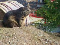 Am Grimselpass &ndash; &copy; Steffen Mucke (Eberhardt TRAVEL)