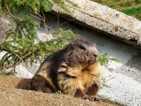 Am Grimselpass &ndash; &copy; Steffen Mucke (Eberhardt TRAVEL)