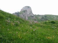 auf der Schynigen Platte