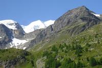 Fahrtimpressionen Bernina-Express