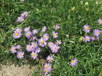 Wanderung vom Riffelberg zur Riffelalp