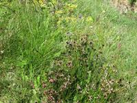 Wanderung vom Riffelberg zur Riffelalp