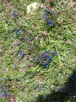 Wanderung vom Riffelberg zur Riffelalp